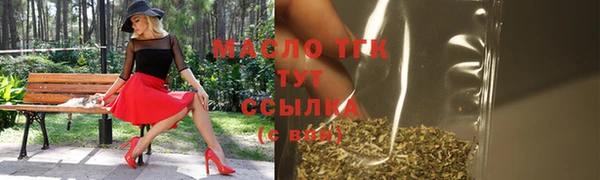 твердый Володарск