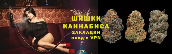 круглые Вяземский