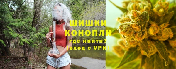 spice Вязьма