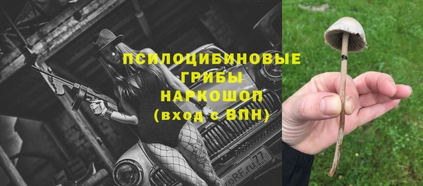 круглые Вяземский